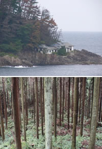 隠岐の島町の森林・林業