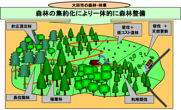 大田市の森林・林業「森林の集約化により一体的に森林整備