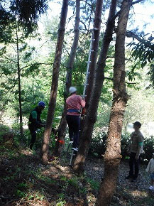 250429-morifure-01
