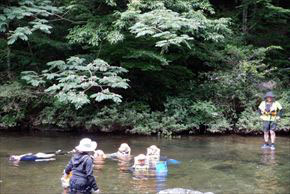 image4-s