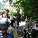 250724-hiragino-02