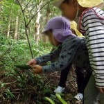 250819-suginoko-04