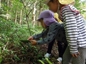 250819-suginoko-04