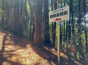 250831-kouyama-04
