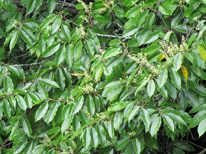 20250920-gassan05
