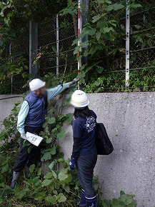 20251106-seibunorin01