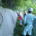 20251106-seibunorin02