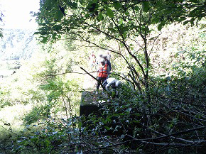 20251106-seibunorin04