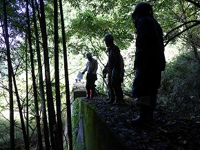 20251106-seibunorin05