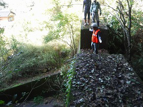 20251106-seibunorin06