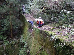 20251106-seibunorin07