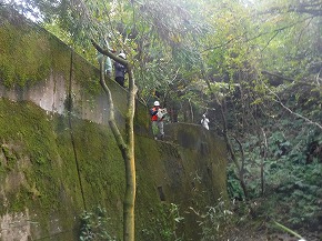 20251106-seibunorin08