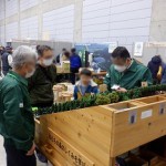 20251122-greenwood-bosai02