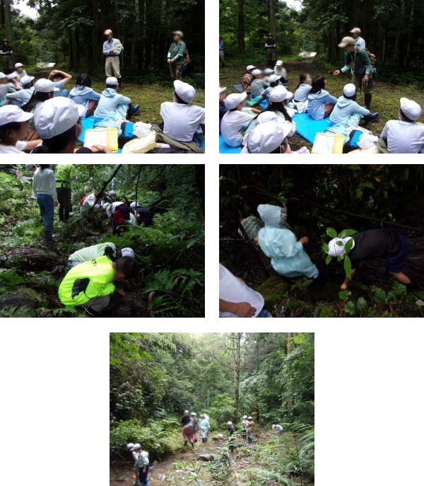 美保関小学校