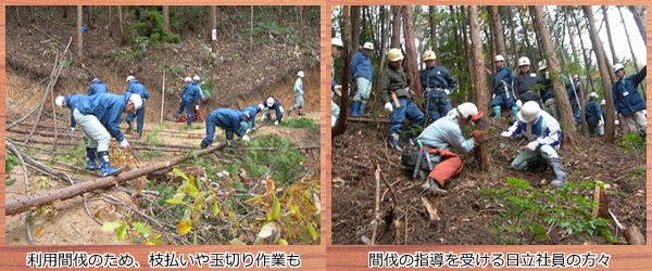 間伐の指導を受ける日立社員の方々／利用間伐のため、枝払いや玉切り作業も。