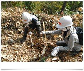 山陰合同銀行：森林整備への取り組み
