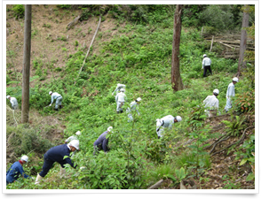 島根県森林土木技術協会