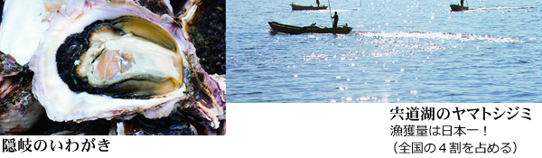 宍道湖のヤマトシジミ：漁獲量は日本一！（全国の４割を占める）