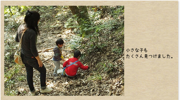 峯寺　遊山荘：森とのふれあい活動