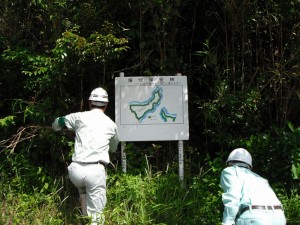 標識周囲の草刈