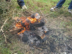 木材資源等利用活動