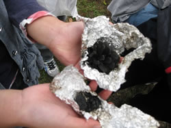 木材資源等利用活動