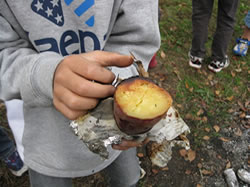 木材資源等利用活動