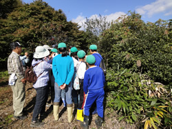 邑南町立高原小学校：森とのふれあい活動