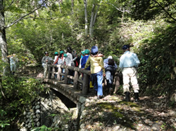 邑南町立高原小学校：森とのふれあい活動
