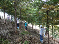 邑南町立高原小学校：森とのふれあい活動