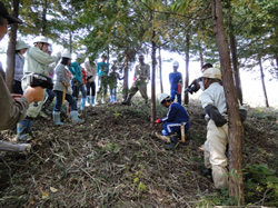 邑南町立高原小学校：森とのふれあい活動