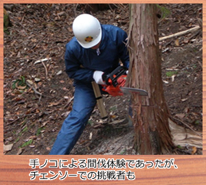 手ノコによる間伐体験であったが、チェンソーでの挑戦者も。