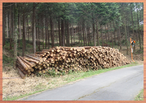 島根CO2吸収認証　第１号：中海大井環境整備工事（有限会社土江重機）