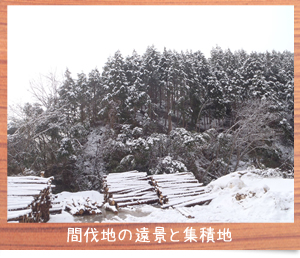 間伐地の遠景と集積地