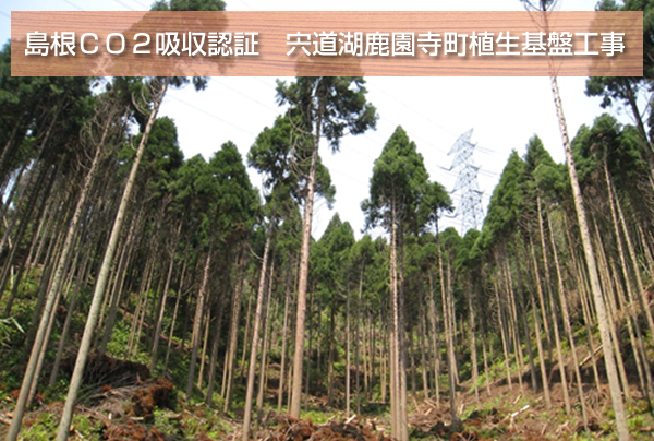 島根ＣＯ２吸収認証　宍道湖鹿園寺町植生基盤工事