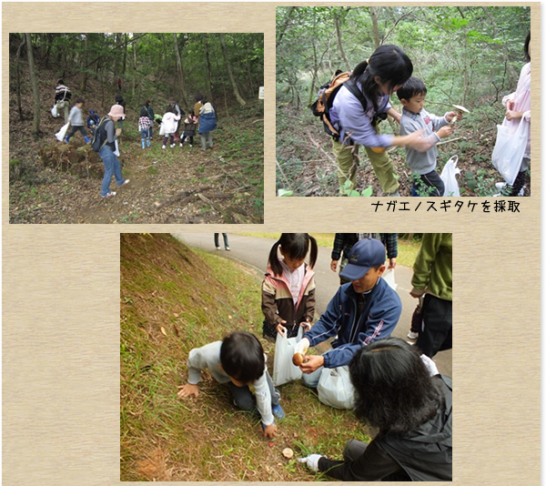 ＮＰＯもりふれ倶楽部：森とのふれあい活動