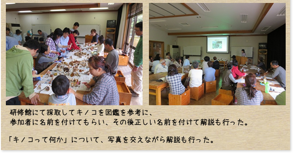 ＮＰＯもりふれ倶楽部：森とのふれあい活動