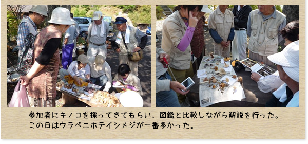 峯寺　遊山荘：森とのふれあい活動