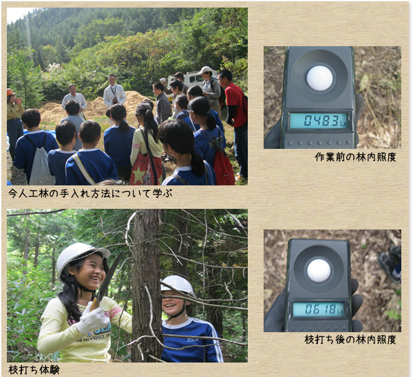 邑南町立高原小学校：森づくり活動