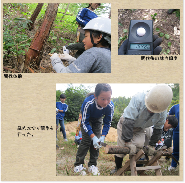 邑南町立高原小学校：森づくり活動