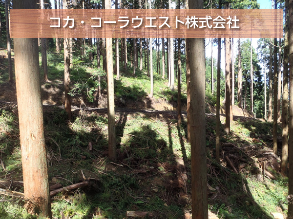コカ・コーラウエスト株式会社：森林整備への取り組み
