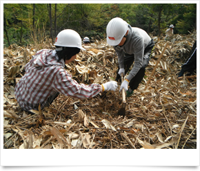 山陰合同銀行：森林整備への取り組み