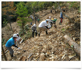 山陰合同銀行：森林整備への取り組み