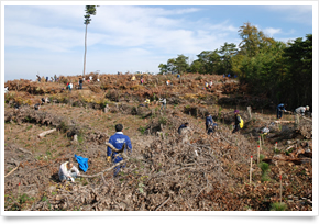 株式会社　山陰中央新報