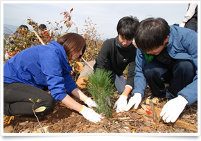 株式会社山陰中央新報