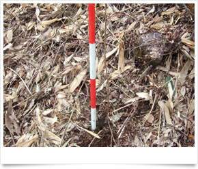 日東ベンディング中国・アシード株式会社