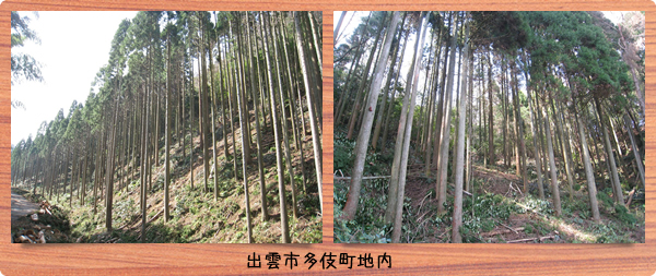 神話博しまねカーボンオフセット1 神話博しまねカーボンオフセット