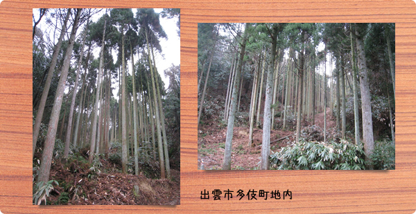 神話博しまねカーボンオフセット5 神話博しまねカーボンオフセット