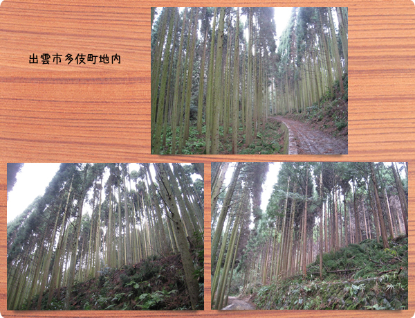 神話博しまねカーボンオフセット4 神話博しまねカーボンオフセット