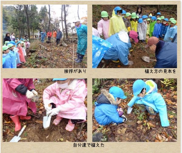 しらゆり保育園